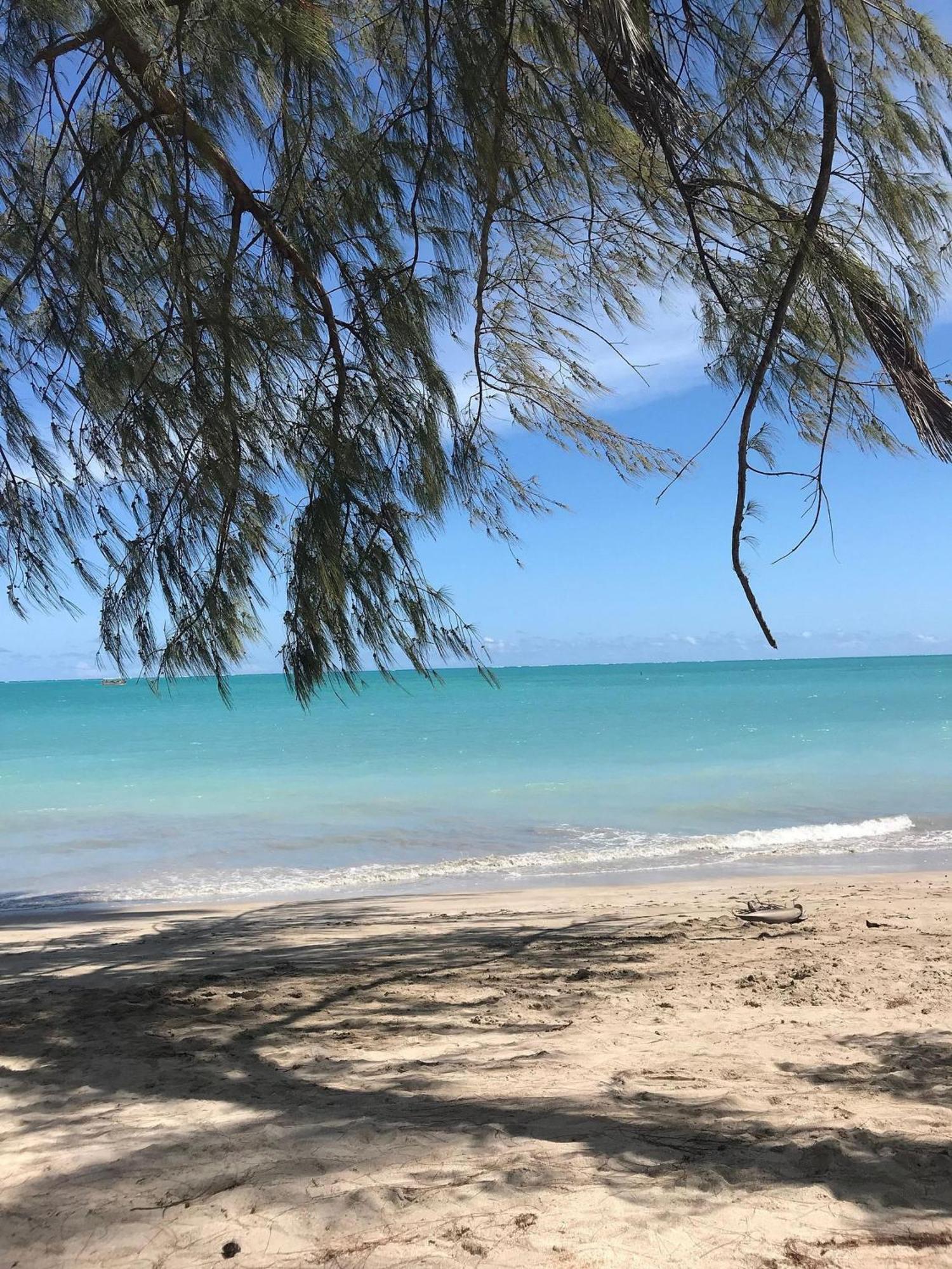 Chales Praias Brasileiras 马拉戈日 外观 照片